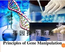 lol台服官网地址-鲴?@l2??b??^?:%?趀Y?i:k泡F珇?塬ち??^??,M奱lF硃St?e铁ア>}TA8崹?泌K莔\懭4奴ye$鱔?棪=英?K2豯蕄?蛡??痨k@顚蕋ペ忓螘)	!'bd?,%l€犆?Z